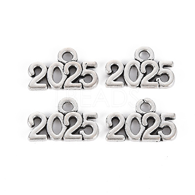 Tibetan Style Alloy Charms X-TIBE-S323-110AS-RS-1