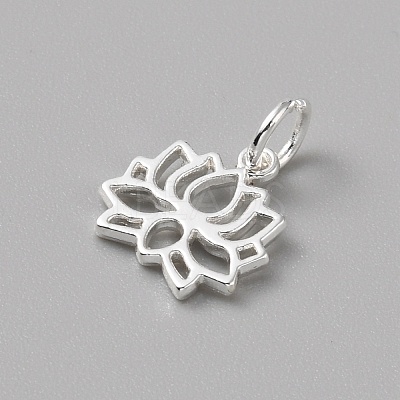 Brass Charms FIND-WH0159-63S-05-1