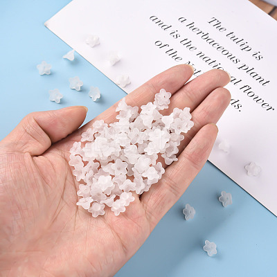 Transparent Acrylic Beads PL554-1