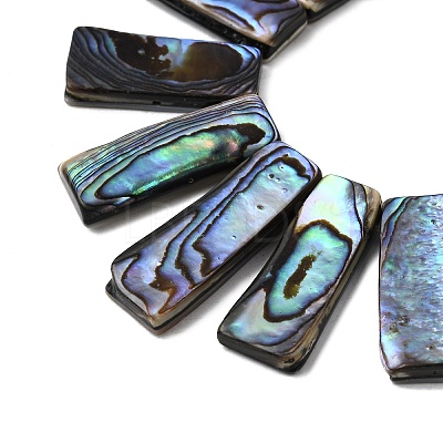 Natural Paua Shell Beads Strands BSHE-S305-01B-1