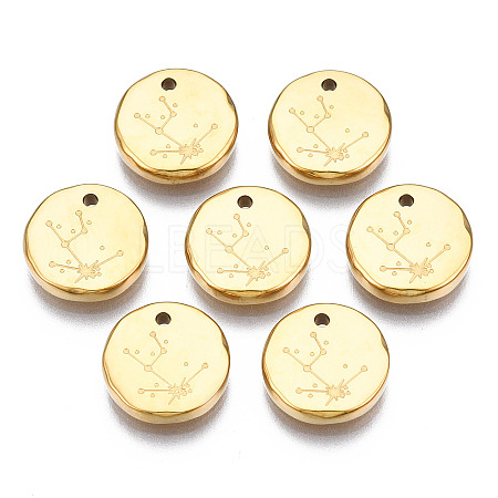316 Surgical Stainless Steel Charms LS-STAS-S116-418A-G-1