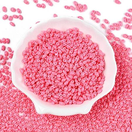 Baking Paint Glass Seed Beads SEED-T006-03P-1