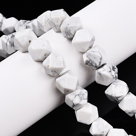 Natural Howlite Beads Strands G-T138-35-1