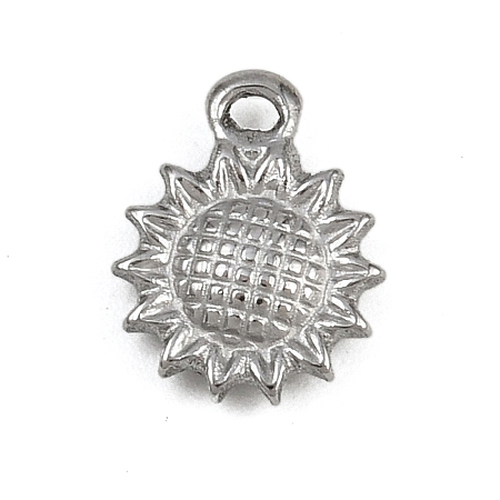 304 Stainless Steel Charms LS-STAS-G363-12P-1