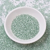 MIYUKI Delica Beads SEED-X0054-DB0829-2