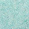 TOHO 11/0 Round Beads X-SEED-TR11-0170-2