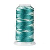 Segment Dyed Round Polyester Sewing Thread OCOR-Z001-B-07-1