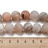 Natural Weathered Agate Beads Strands G-P538-A01-11-5