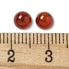 Natural Carnelian Cabochons G-Q173-01B-14-3