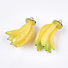 Resin Pendants RESI-T028-46-2