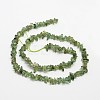 Chips Natural Green Apatite Beads Strands G-N0164-26-3