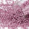 8/0 Glass Seed Beads SEED-A017-3mm-1110-1