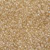 MIYUKI Round Rocailles Beads X-SEED-G008-RR0161-3