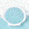 Glass Seed Beads SEED-A011-2mm-154-2