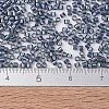 MIYUKI Delica Beads SEED-X0054-DB2387-4