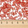 Glass Seed Beads X1-SEED-S042-04A-10-4
