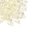 Transparent Glass Beads DGLA-N022-01-2