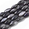 Natural Freshwater Shell Beads SHEL-R047-02-3
