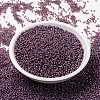 MIYUKI Round Rocailles Beads X-SEED-G009-RR0386-2