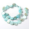Natural Shell Beads Strands X-PBB251Y-8-2