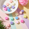 Acrylic European Beads MACR-TAC0001-28C-5
