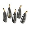 Natural Labradorite Pendants G-Q192-07G-06-1