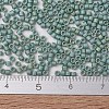 MIYUKI Delica Beads SEED-X0054-DB2313-4