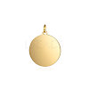 Ion Plating(IP) 304 Stainless Steel Pendants STAS-I311-33D-G-1