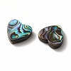 Abalone Shell/Paua Shell Beads LS-SHEL-T005-01-3