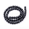 Natural Snowflake Obsidian Round Bead Strands G-J303-09-10mm-2