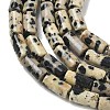 Natural Dalmatian Jasper Beads Strands G-B091-A19-01-4
