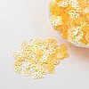 Ornament Accessories Plastic Paillette/Sequins Beads PVC-E001-13-RC02-1