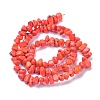 Natural Magnesite Beads Strands TURQ-P001-02A-10-2