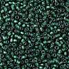TOHO Round Seed Beads SEED-XTR08-0270F-2