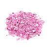 Natural Freshwater Shell Beads BSHE-I011-03D-1