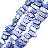 Natural Freshwater Shell Beads Strands SHEL-N026-123G-1