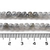 Natural Labradorite Beads Strands G-G140-C06-03-5