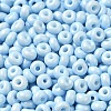 Baking Paint Glass Seed Beads SEED-B001-02A-08-3