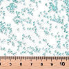 11/0 FGB Grade A Transparent Glass Seed Beads X-SEED-N001-E-318-3
