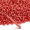 TOHO 6/0 Round Beads X-SEED-TR06-2201-2