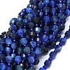 Natural Kyanite Beads Strands G-O201B-18-1