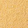 TOHO 11/0 Round Beads SEED-TR11-0903-2