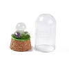 Natural Quartz Crystal Mushroom Display Decoration with Glass Dome Cloche Cover G-E588-03I-4
