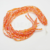 Electroplate Glass Beads Strands EGLA-D018-8x8mm-51-2