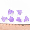Transparent Acrylic Bead Caps PL551-C08-4