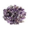 Natural Amethyst Chip Beads G-M364-12B-4