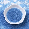 MIYUKI Delica Beads SEED-MY11-DB0113-2