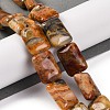 Natural Crazy Agate Beads Strands G-T047-B18-01-2
