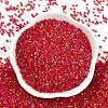 Transparent Colours Rainbow Glass Seed Beads SEED-H003-12F-3