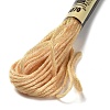 10 Skeins 6-Ply Polyester Embroidery Floss OCOR-K006-A20-2